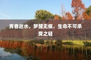 青春逝水，梦醒无痕，生命不可承受之轻