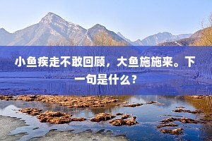 小鱼疾走不敢回顾，大鱼施施来。下一句是什么？