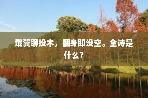戢翼聊投木，翻身即没空。全诗是什么？