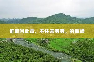 谁能问此意，不住去匆匆。的解释