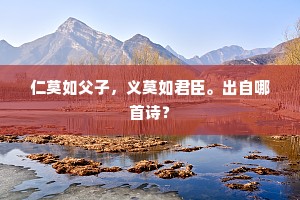 仁莫如父子，义莫如君臣。出自哪首诗？