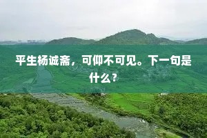 平生杨诚斋，可仰不可见。下一句是什么？