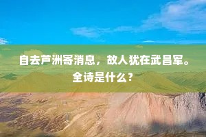 自去芦洲寄消息，故人犹在武昌军。全诗是什么？