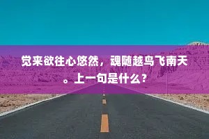 觉来欲往心悠然，魂随越鸟飞南天。上一句是什么？