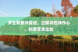 浮生聚散鸿留迹，过眼功名铁作心。的意思及出处