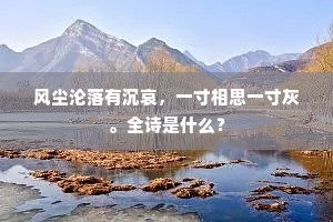 风尘沦落有沉哀，一寸相思一寸灰。全诗是什么？