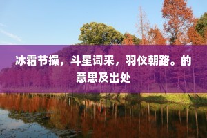 冰霜节操，斗星词采，羽仪朝路。的意思及出处