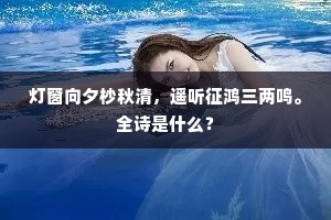 灯窗向夕杪秋清，遥听征鸿三两鸣。全诗是什么？