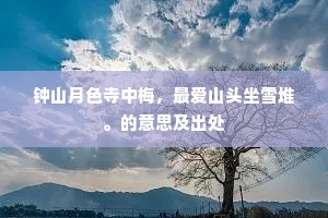 钟山月色寺中梅，最爱山头坐雪堆。的意思及出处
