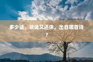 多少话，欲说又还休。出自哪首诗？