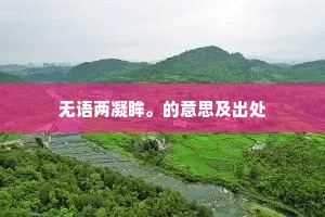 无语两凝眸。的意思及出处