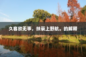 久客欣无事，扶衰上野航。的解释