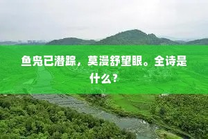鱼凫已潜踪，莫漫舒望眼。全诗是什么？