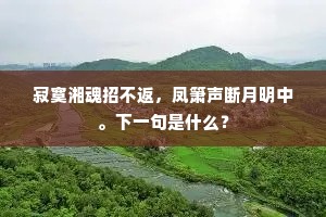 寂寞湘魂招不返，凤箫声断月明中。下一句是什么？