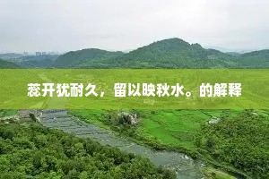 蕊开犹耐久，留以映秋水。的解释