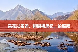 采花以寄君，聊慰相思忆。的解释
