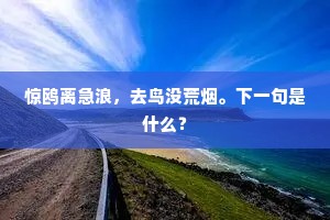 惊鸥离急浪，去鸟没荒烟。下一句是什么？