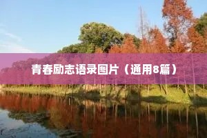 青春励志语录图片（通用8篇）