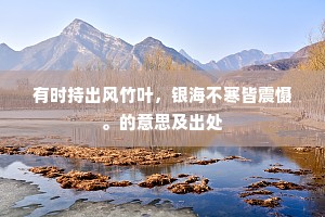 有时持出风竹叶，银海不寒皆震慑。的意思及出处