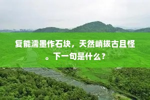 复能濡墨作石块,天然峭拔古且怪。下一句是什么? 复能濡墨作石块,天然峭拔古且怪。下一句是什么?