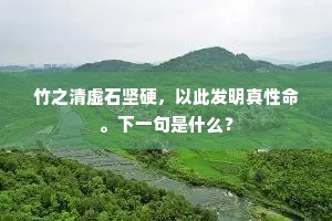 竹之清虚石坚硬，以此发明真性命。下一句是什么？