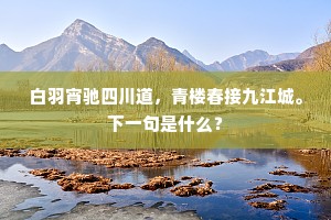 白羽宵驰四川道，青楼春接九江城。下一句是什么？