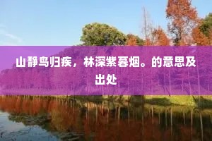 山静鸟归疾，林深紫暮烟。的意思及出处