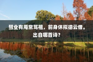彗业有庵常骂祖，前身休拟德云僧。出自哪首诗？