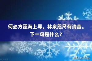 何必方蓬海上寻，林泉咫尺有清音。下一句是什么？