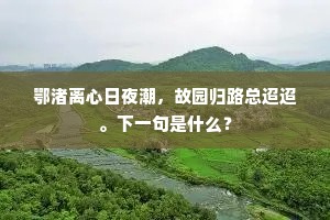鄂渚离心日夜潮,故园归路总迢迢。下一句是什么? 鄂渚离心日夜潮,故园归路总迢迢。下一句是什么?