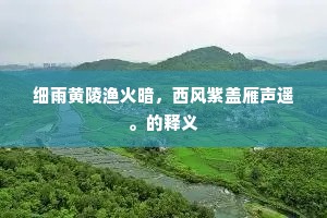 细雨黄陵渔火暗，西风紫盖雁声遥。的释义
