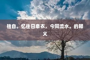 独自。忆往日牵衣，今同流水。的释义