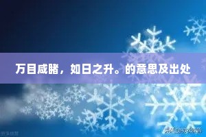 万目咸睹，如日之升。的意思及出处
