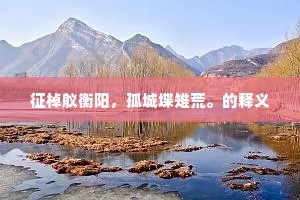 征棹舣衡阳，孤城堞雉荒。的释义