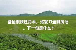 登仙惯挟还丹术，炼就刀圭到凤池。下一句是什么？