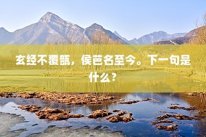 玄经不覆瓿,侯芭名至今。下一句是什么? 玄经不覆瓿,侯芭名至今。下一句是什么?