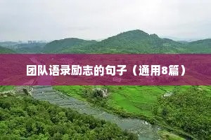 团队语录励志的句子（通用8篇）