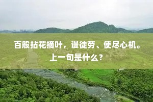 百般拈花摘叶，谩徒劳、使尽心机。上一句是什么？