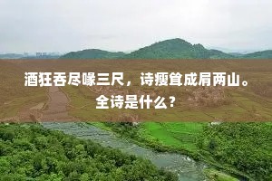酒狂吞尽喙三尺，诗瘦耸成肩两山。全诗是什么？