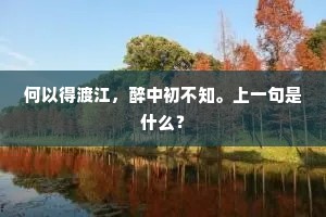 何以得渡江，醉中初不知。上一句是什么？
