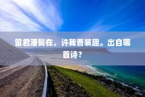 留君潘鬓在，许我曹装趣。出自哪首诗？