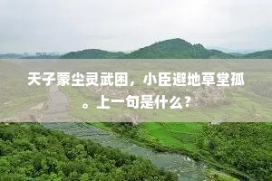 天子蒙尘灵武困，小臣避地草堂孤。上一句是什么？
