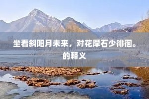 坐看斜阳月未来，对花摩石少徘徊。的释义