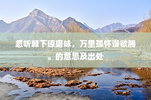 忽听棘下琼琚咏，万里孤怀谩欲腾。的意思及出处