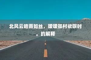 北风云暗雨如丝，暧暧孤村欲暝时。的解释