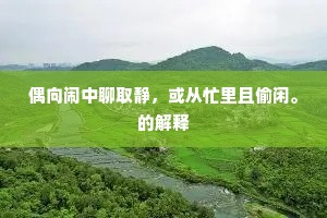 偶向闹中聊取静，或从忙里且偷闲。的解释