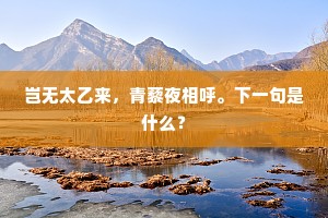 岂无太乙来，青藜夜相呼。下一句是什么？