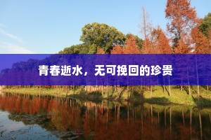 青春逝水，无可挽回的珍贵