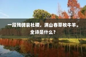 一段残碑哀社稷，满山春草牧牛羊。全诗是什么？