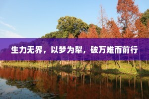 生力无界，以梦为犁，破万难而前行